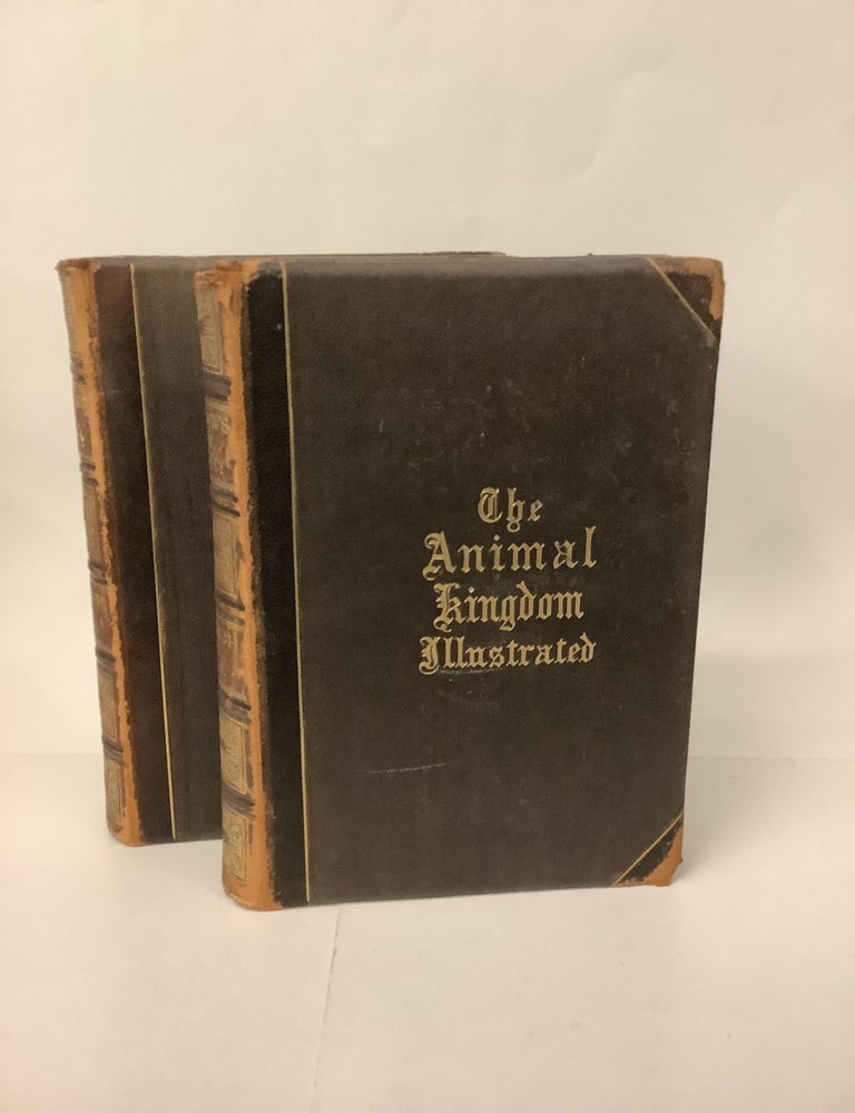Item #101898 The Animal Kingdom Illustrated, 2 Volume Set; Johnson's Natural History. S. G Goodrich.