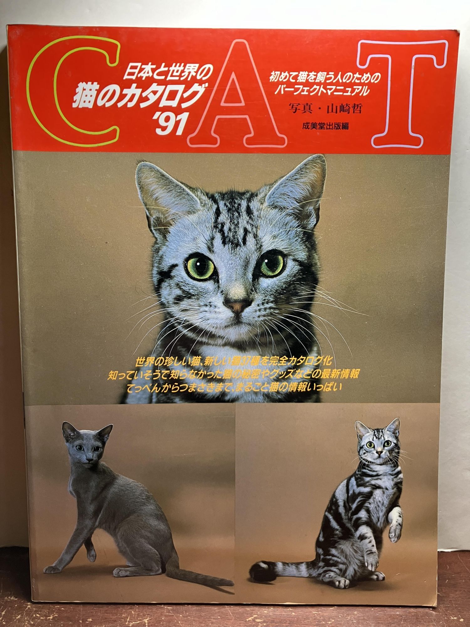 日本と世界の猫のカタログ Catalog of Japanese and International