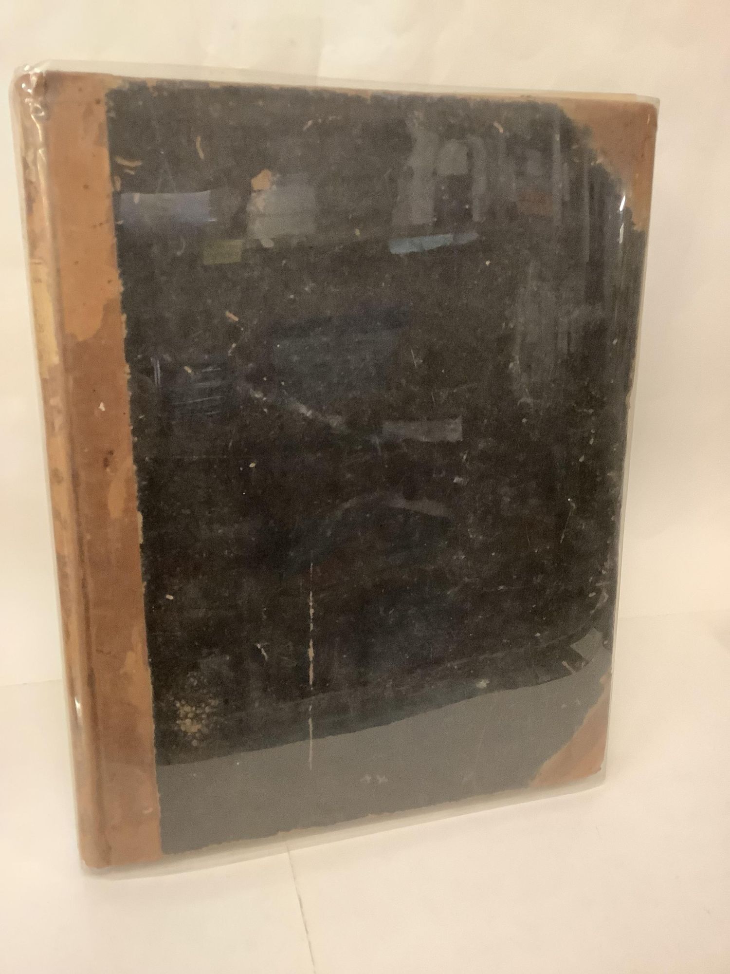 A Monograph of Oriental Cicadidae; With Fifteen Plates and Woodcuts | W ...