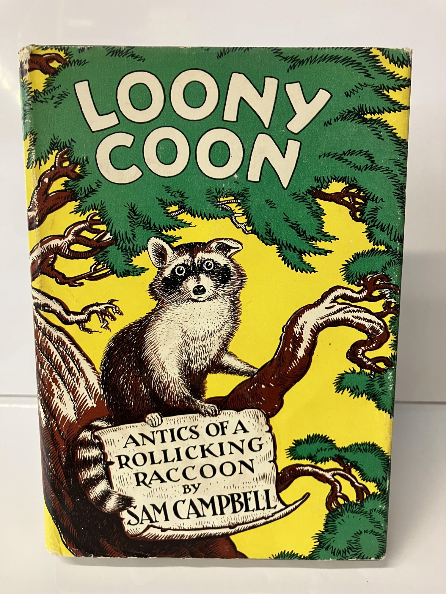 Loony Coon: Antics of a Rollicking Raccoon | Sam Campbell | 1st Edition