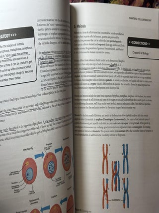 The Next Evolution In MCAT Prep (6 books box set)