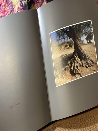 Mnemosyne: Greeks and the Greek Culture in Southern Italy