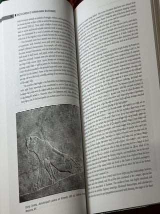 Encyclopedia of Human-Animal Relationships: A Global Exploration of Our Connections with Animals, Volume 1: A-Con (Vol 1 Only)