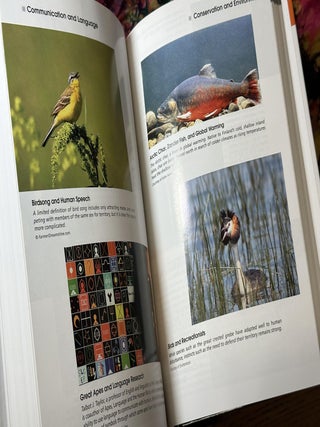 Encyclopedia of Human-Animal Relationships: A Global Exploration of Our Connections with Animals, Volume 1: A-Con (Vol 1 Only)