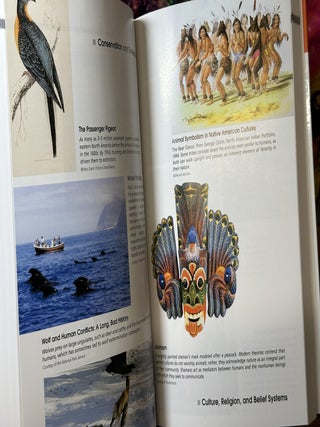 Encyclopedia of Human-Animal Relationships: A Global Exploration of Our Connections with Animals, Volume 2: Con-Eth (Vol 2 Only)