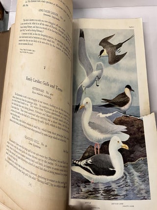 The Birds of Florida: A Popular and Scientific Account of the 425 Species and Subspecies of Birds that are Now, and that Have Been Found Within the State and its Adjacent Waters