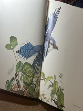 The Magical Realm of Sallie Middleton