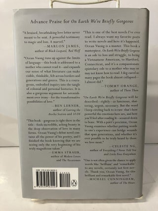 On Earth We're Briefly Gorgeous: A Novel