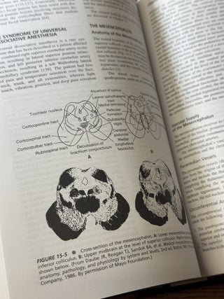 Localization in Clinical Neurology, 5th edition