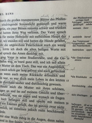 Das zweite Jahr: Buch I