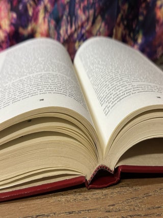 Rose Madder (Stephen King Red Library)