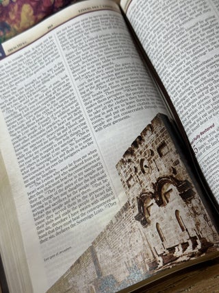 The Chronological Study Bible, New International Version