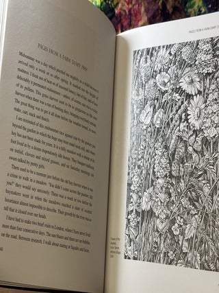 Outsiders: A Book of Garden Friends