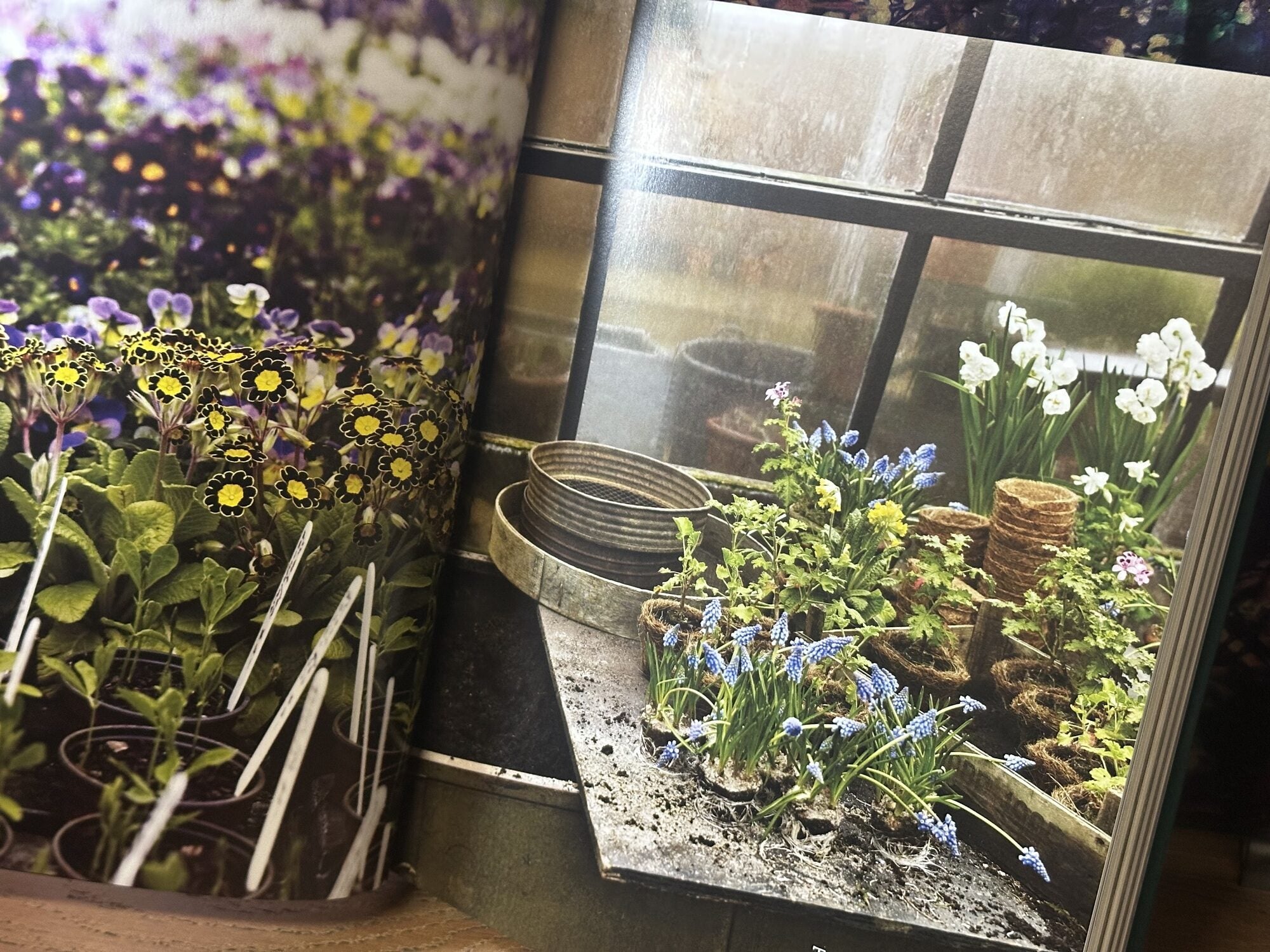 Petersham Nurseries | Boglione | 1st edition