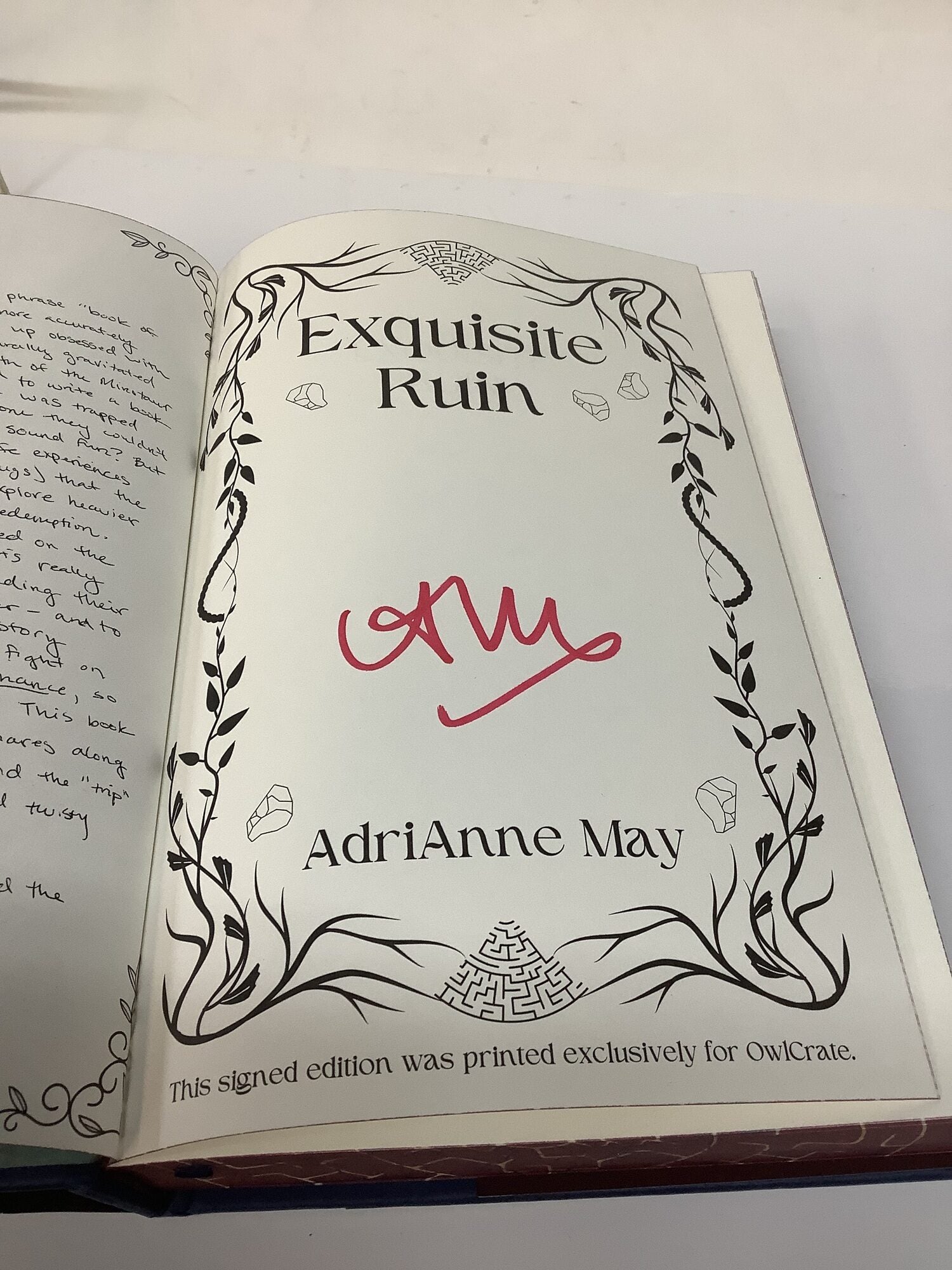 Exquisite Ruin: The Labyrinth, Book 1: Owlcrate | Adrianne May | 1st ptg