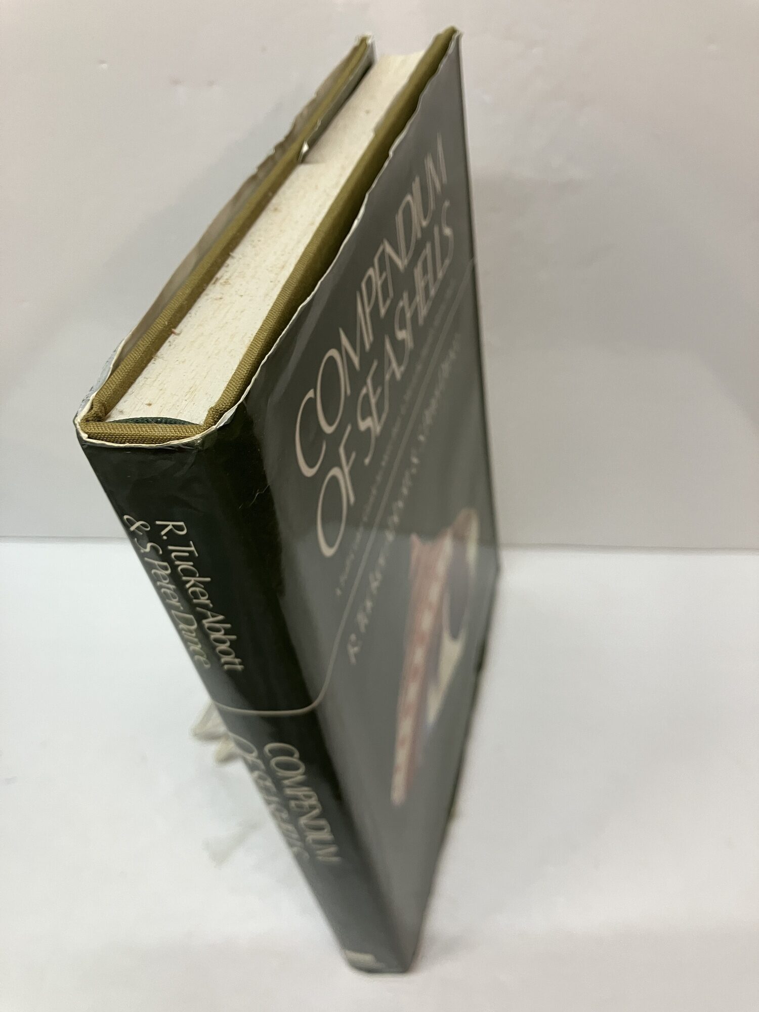 Compendium of Seashells: A Full-Color Guide to More than 4,200 of the ...