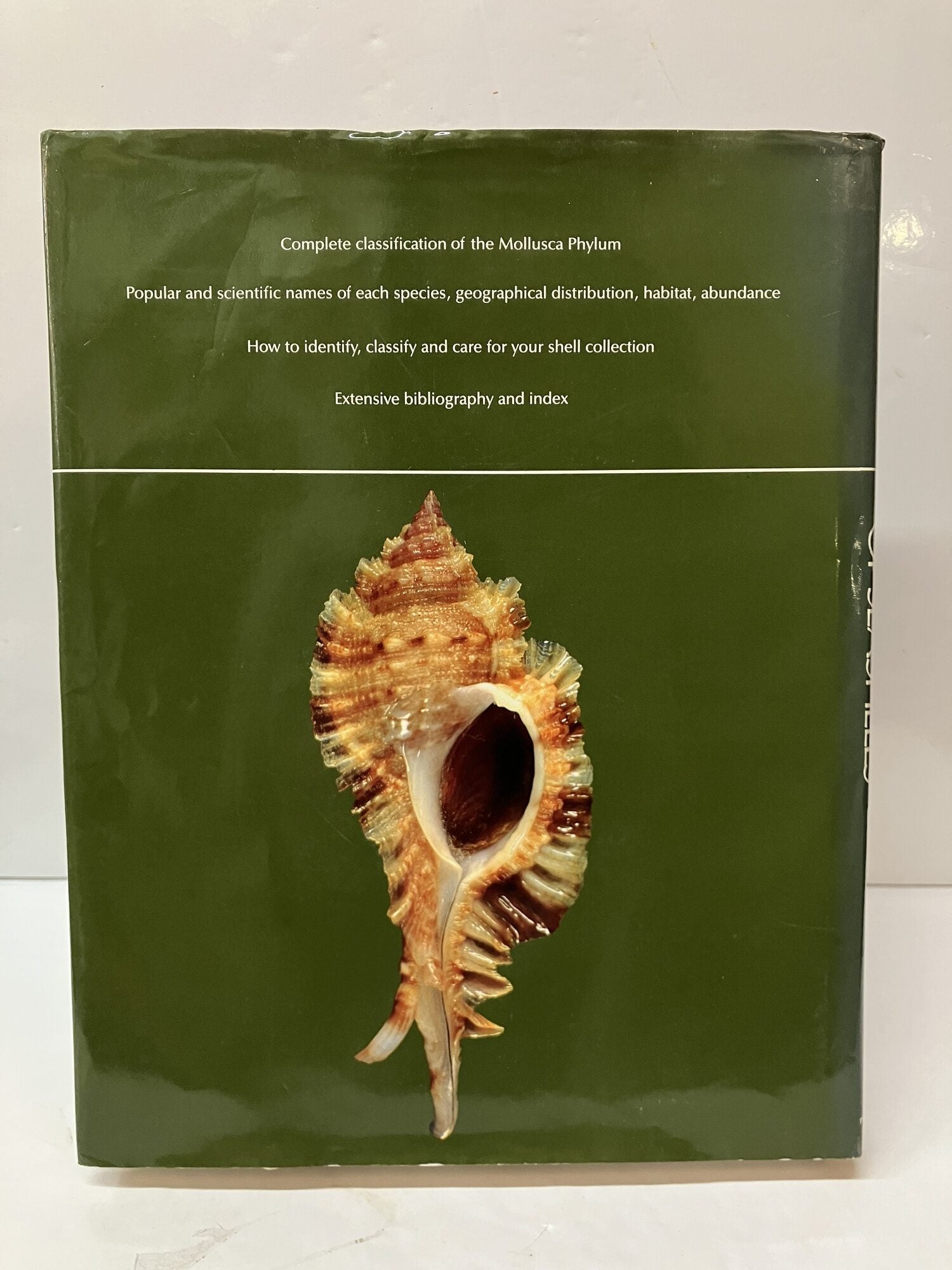 Compendium of Seashells: A Full-Color Guide to More than 4,200 of the ...