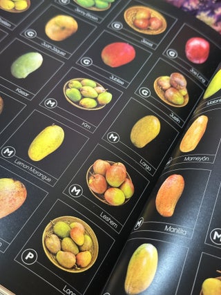 Mango: Verde, Maduro, Pintón (Green, Ripe, Rinse)