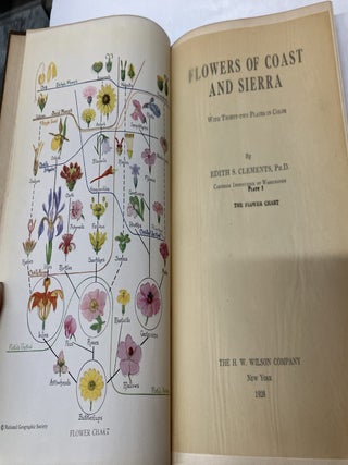 Flowers of Coast and Sierra
