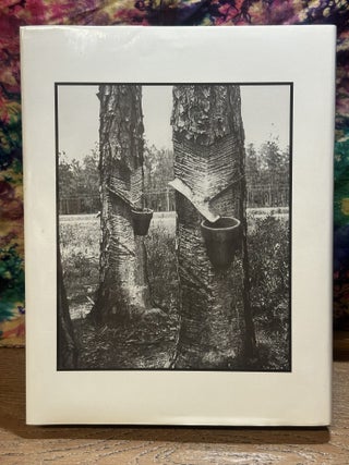 Treasures of the Longleaf Pines: Naval Stories