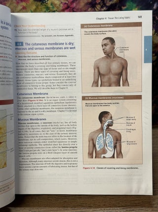 Human Anatomy & Physiology, 11th edition