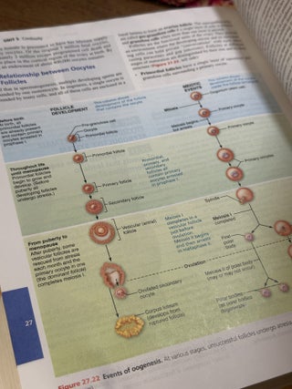 Human Anatomy & Physiology, 11th edition