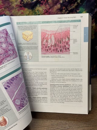 Human Anatomy & Physiology, 11th edition