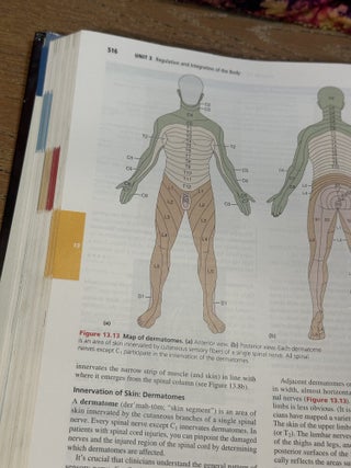 Human Anatomy & Physiology, 11th edition