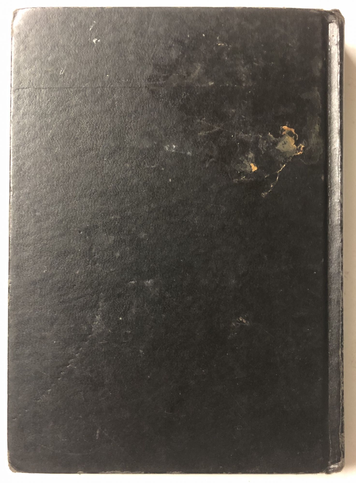 Ss Werwolf Combat Instruction Manual | Michael Fagnon
