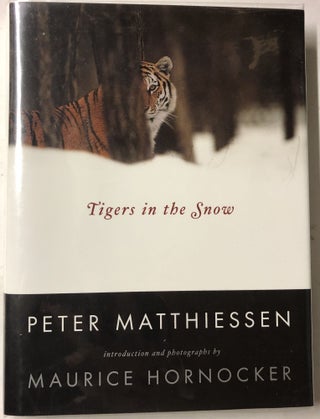 Item #66434 Tigers in the Snow. Peter Matthiessen