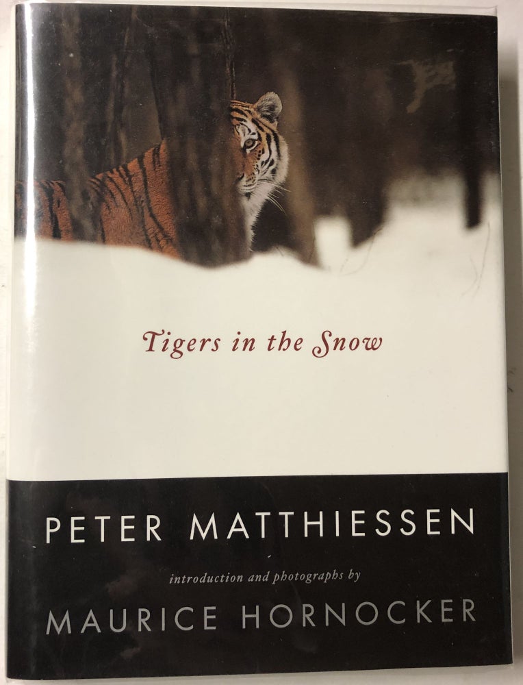 Item #66434 Tigers in the Snow. Peter Matthiessen.