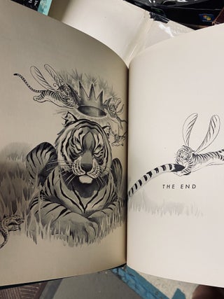 Jaglon and the Tiger Fairies