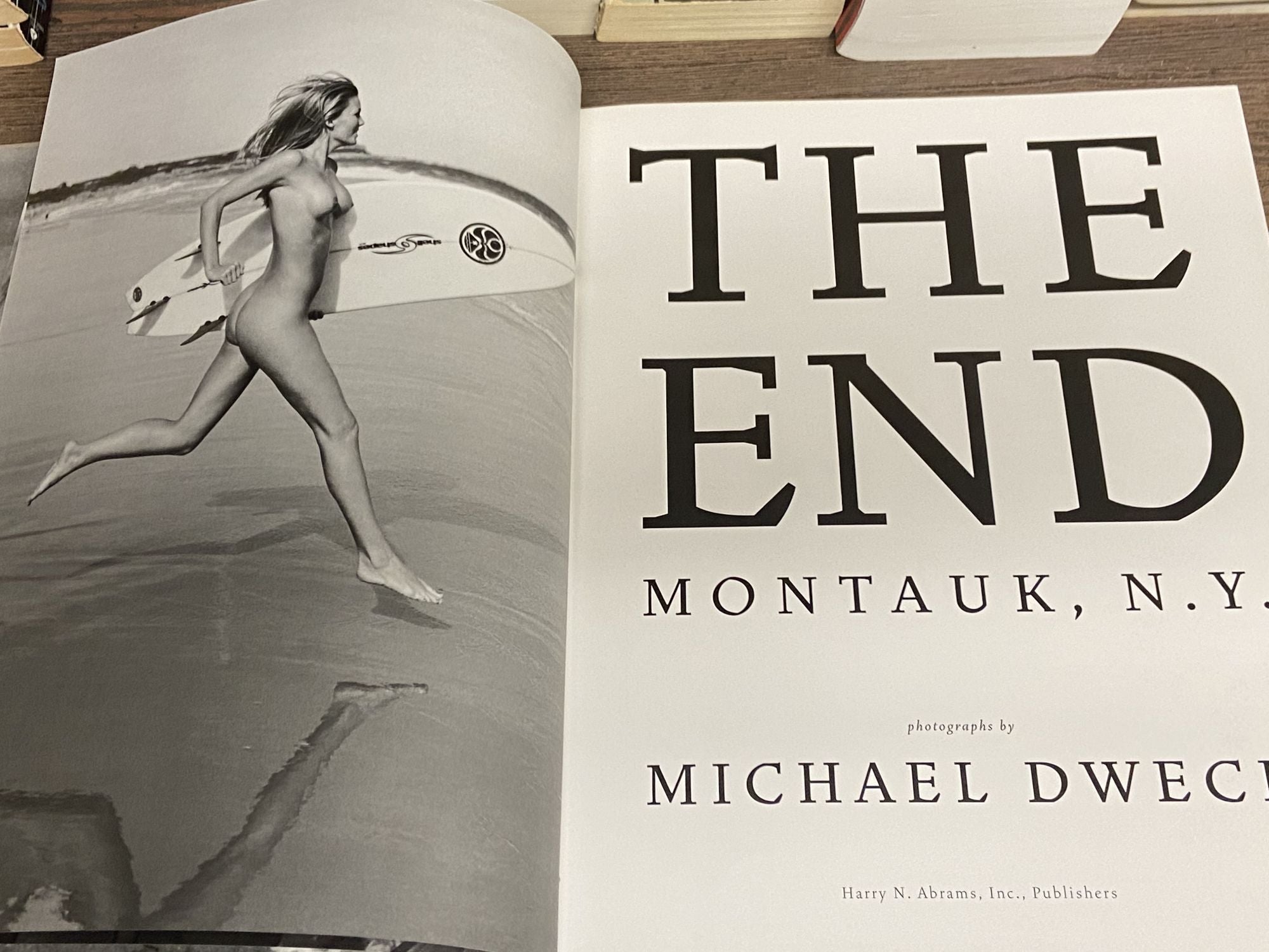 The End; Montauk, N.Y. by Michael Dweck on Chamblin Bookmine