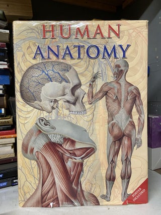Item #71633 Human Anatomy