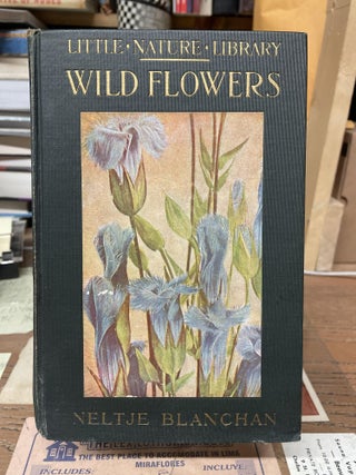 Item #76651 Wild Flowers Worth Knowing (Little Nature Library). Neltje Blanchan