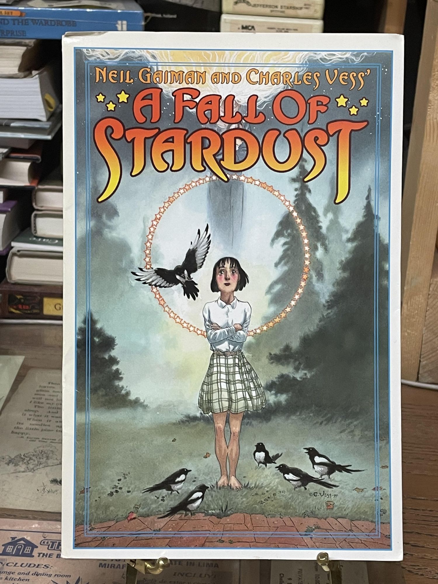 A Fall of Stardust | Neil Gaiman, Charles Ness