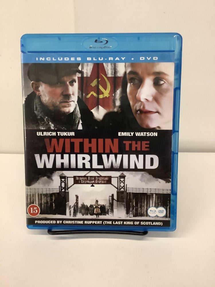 Item #78369 Within the Whirlwind. Christine Ruppert.