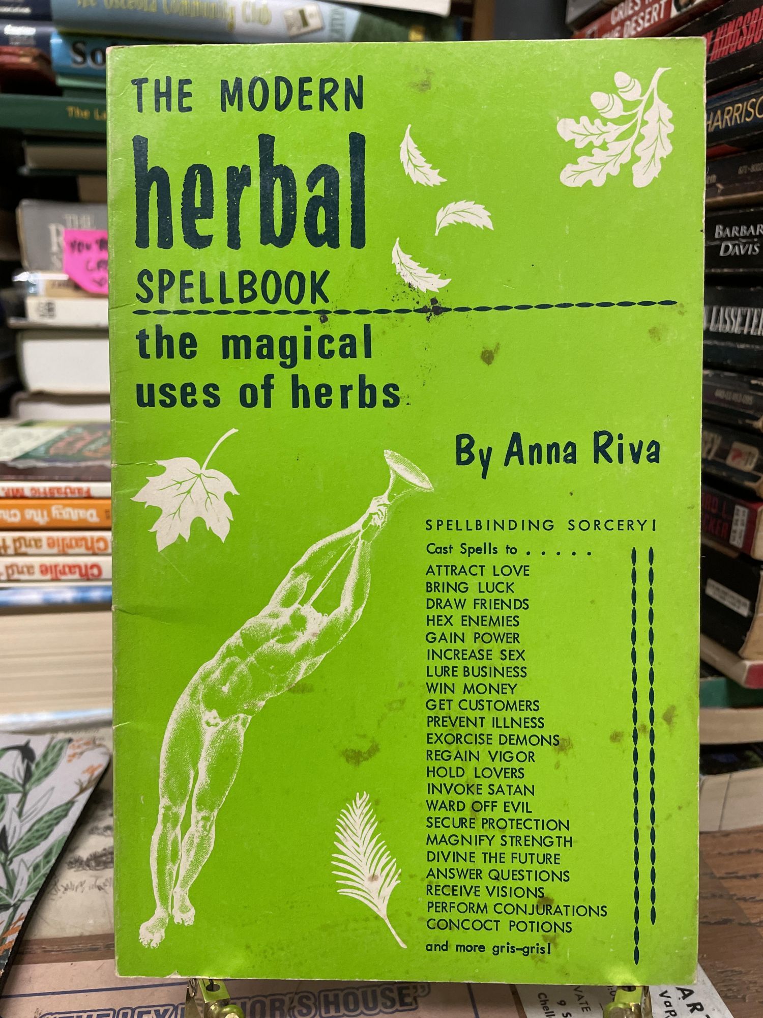 Modern Herbal Spellbook: The Magical Uses of Herbs | Anna Riva
