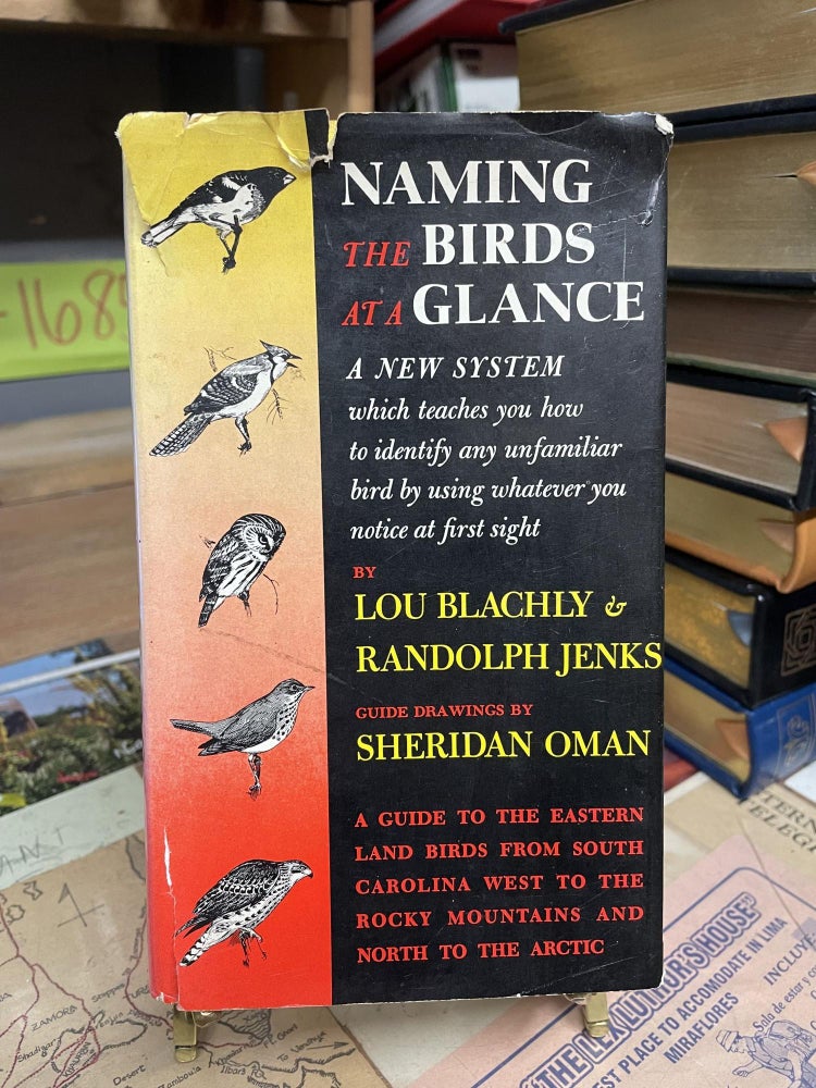 Item #82965 Naming the Birds at a Glance: A New System. Lou Blachly, Randolph Jenks.