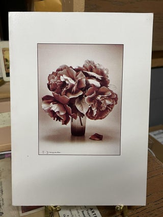 Item #83990 Jean Dieuzaide, 40 Ans de Photographie