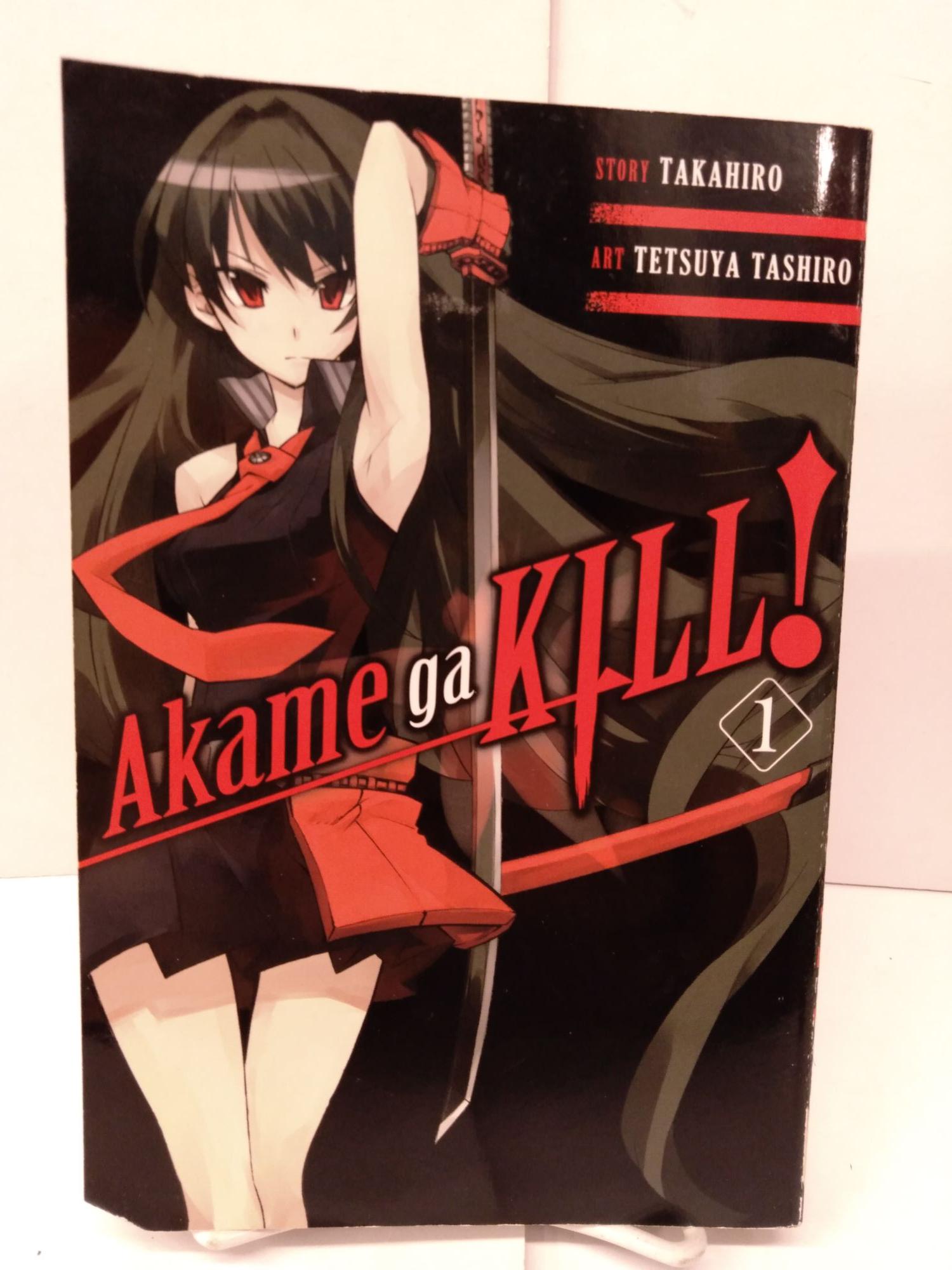 Todo dia um print de anime diferente 1907 - Akame ga Kill! Autor: Takahiro  Episódio 1 – Mate as Trevas ~ Hilzax