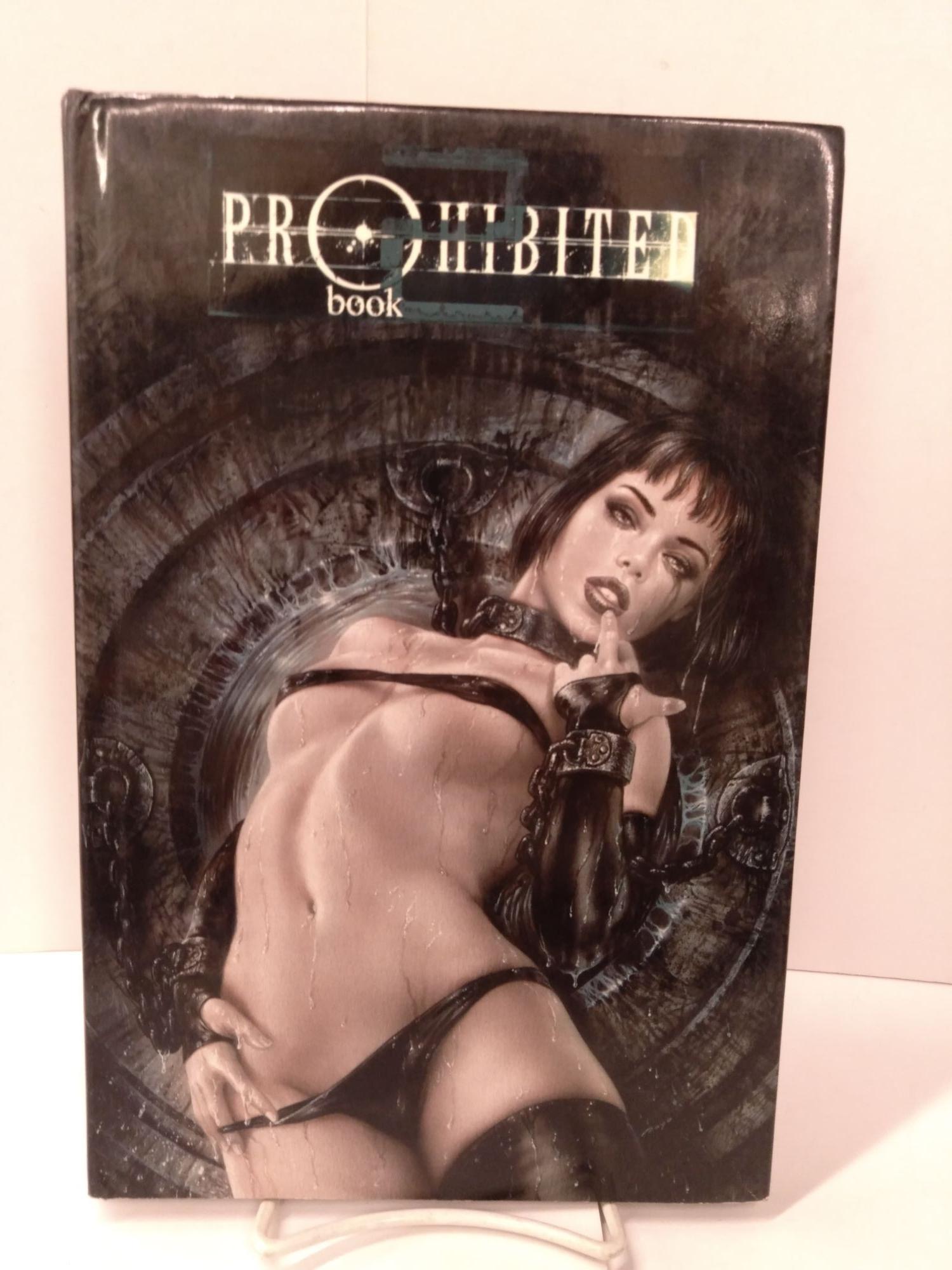 Prohibited Book 2 by Luis Royo on Chamblin Bookmine