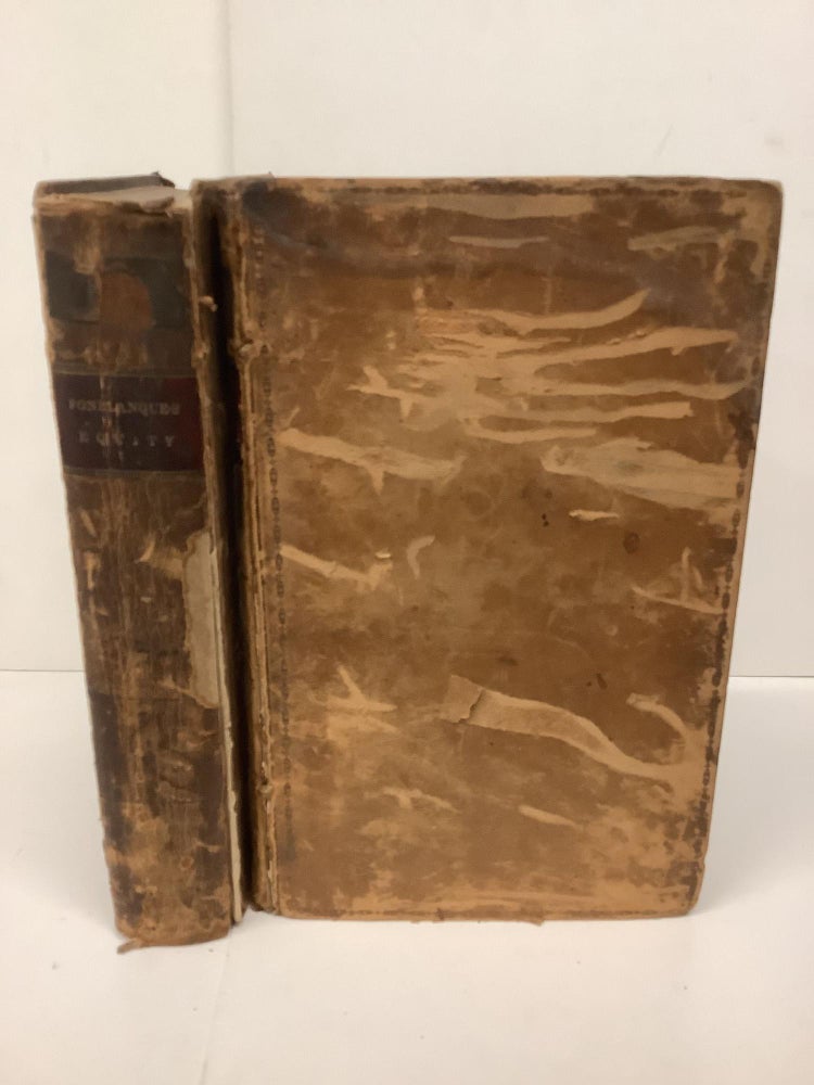 Item #87934 A Treatise of Equity, In 2 Volumes. John H. McHenry.