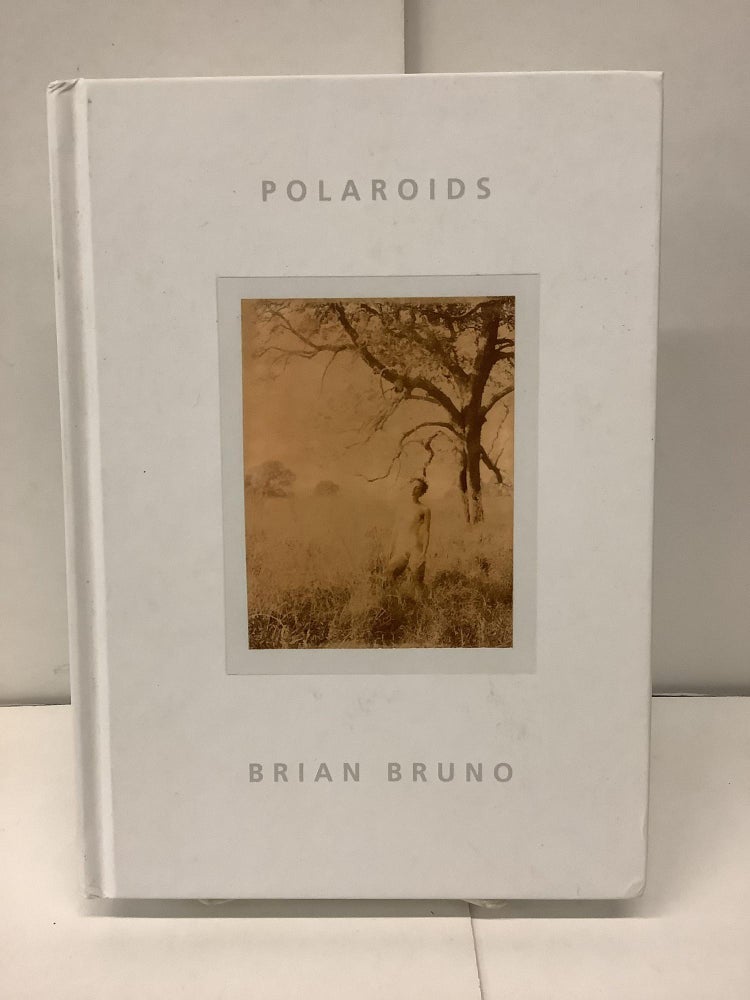 Item #91210 Polaroids, Brunoroids. Brian Bruno.
