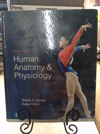 Item #92061 Human Anatomy & Physiology. Elaine Marieb, Katja Hoehn