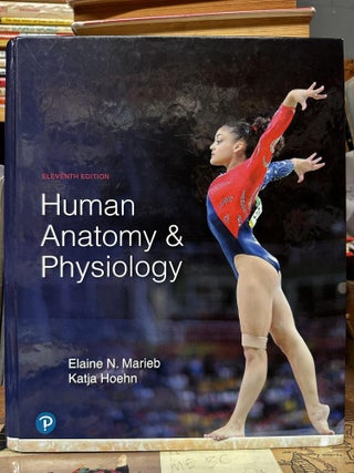 Item #97357 Human Anatomy & Physiology. Elaine Marieb, Katja Hoehn