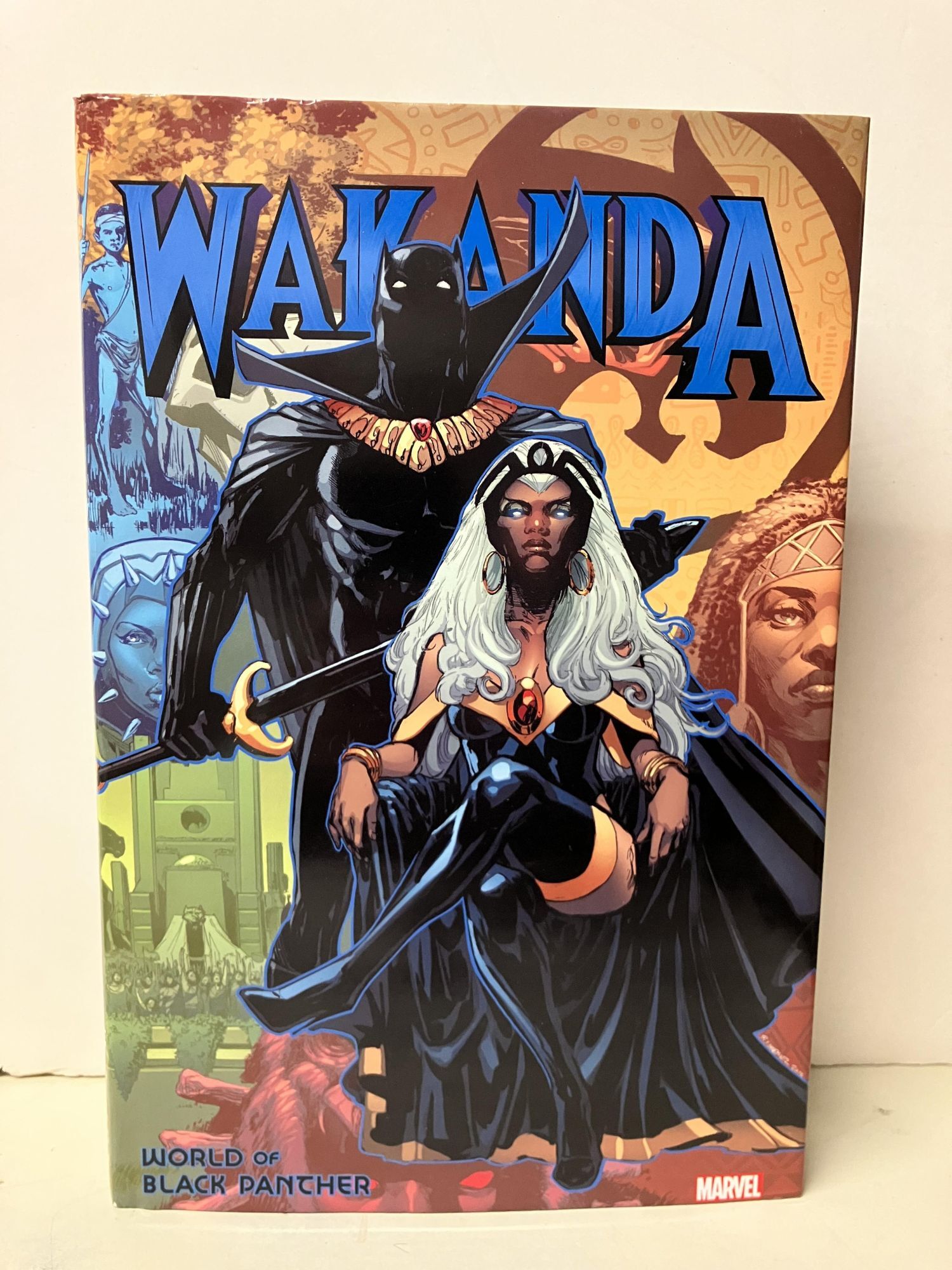 THE BLACK PANTHER すべての権力を人民へ 現代書館 Wakanda: World of Black Panther | Stan Lee | 1st Printing