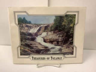 Item #99486 Treasures of Toxaway. Jan C. Plemmons